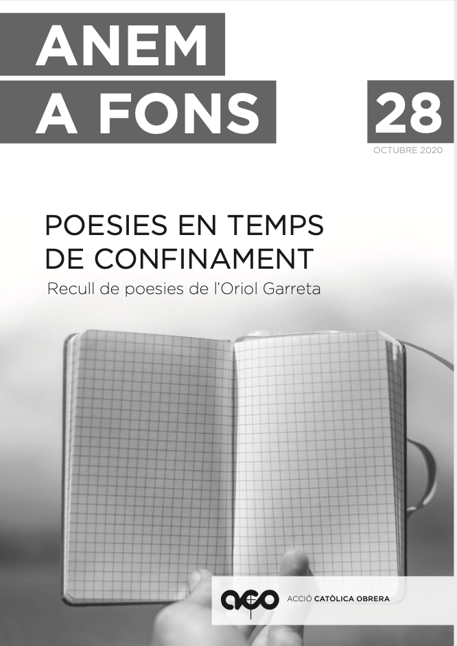 portada_anemafons28