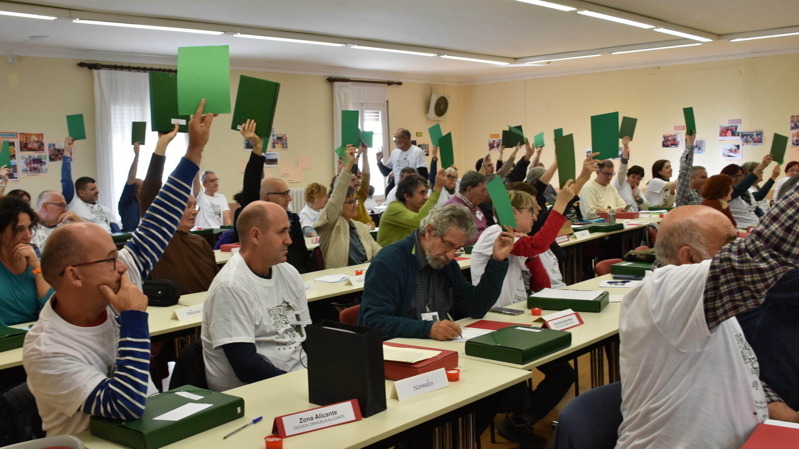 Una de les votacions en plenària del XII Consell.