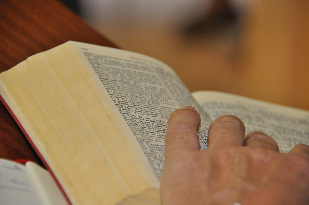Entender qué es una comunidad cristiana: un testimonio del Curso de consiliarios laicos