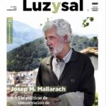 LUZYSAL N. 23