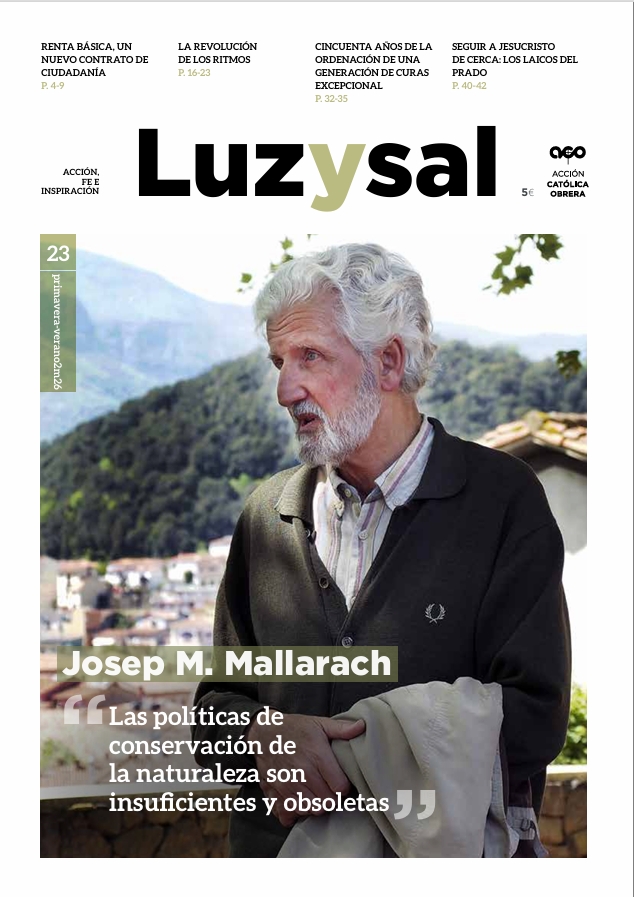 LUZYSAL N. 23