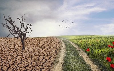 Conversión ecológica: un camino irrenunciable