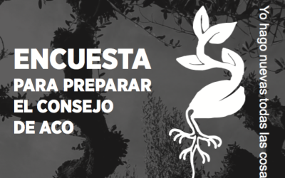 Encuesta para preparar el Consejo