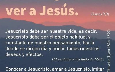 Un Estudio de Evangelio en el Año Antonio Chevrier